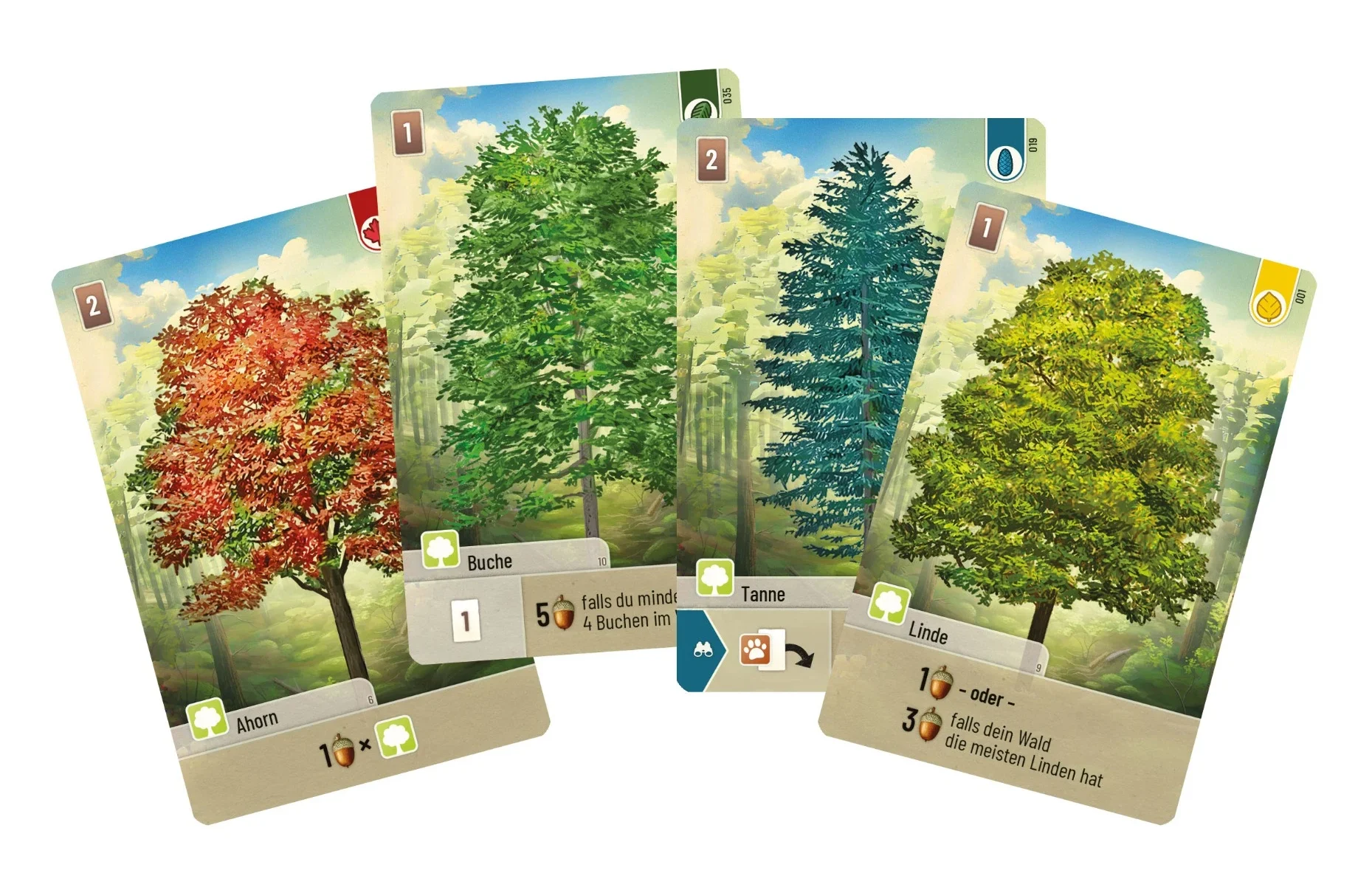 Mischwald Karten The Mischwald series from Lookout: When card game meets nature experience