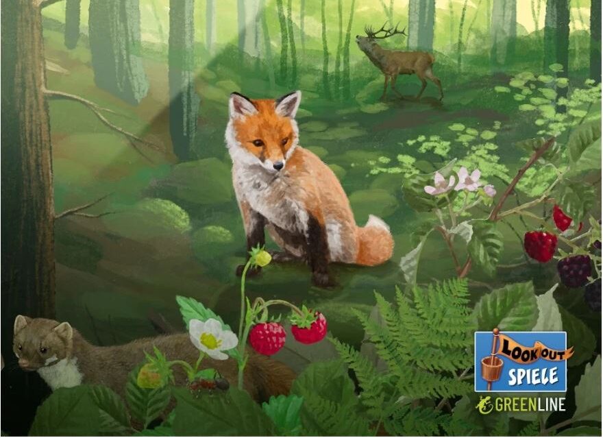 Mischwald 02 e1748594750614 - Mischwald The Mischwald series from Lookout: When card game meets nature experience